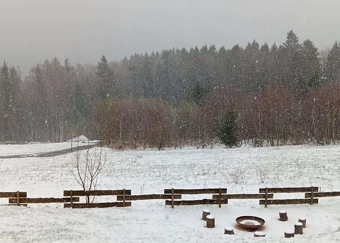 Forest Magic Holiday home Winterberg